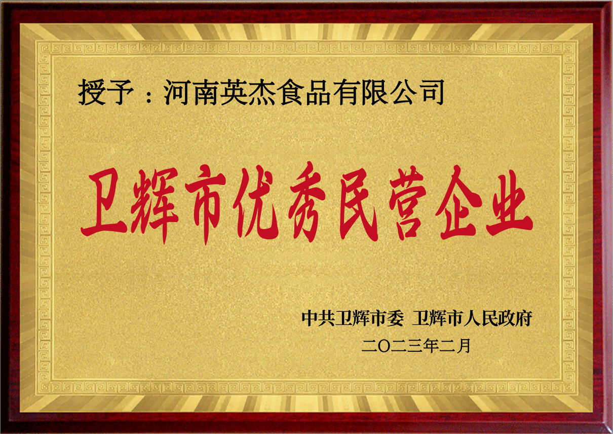 衛(wèi)輝優(yōu)秀民營(yíng)企業(yè)